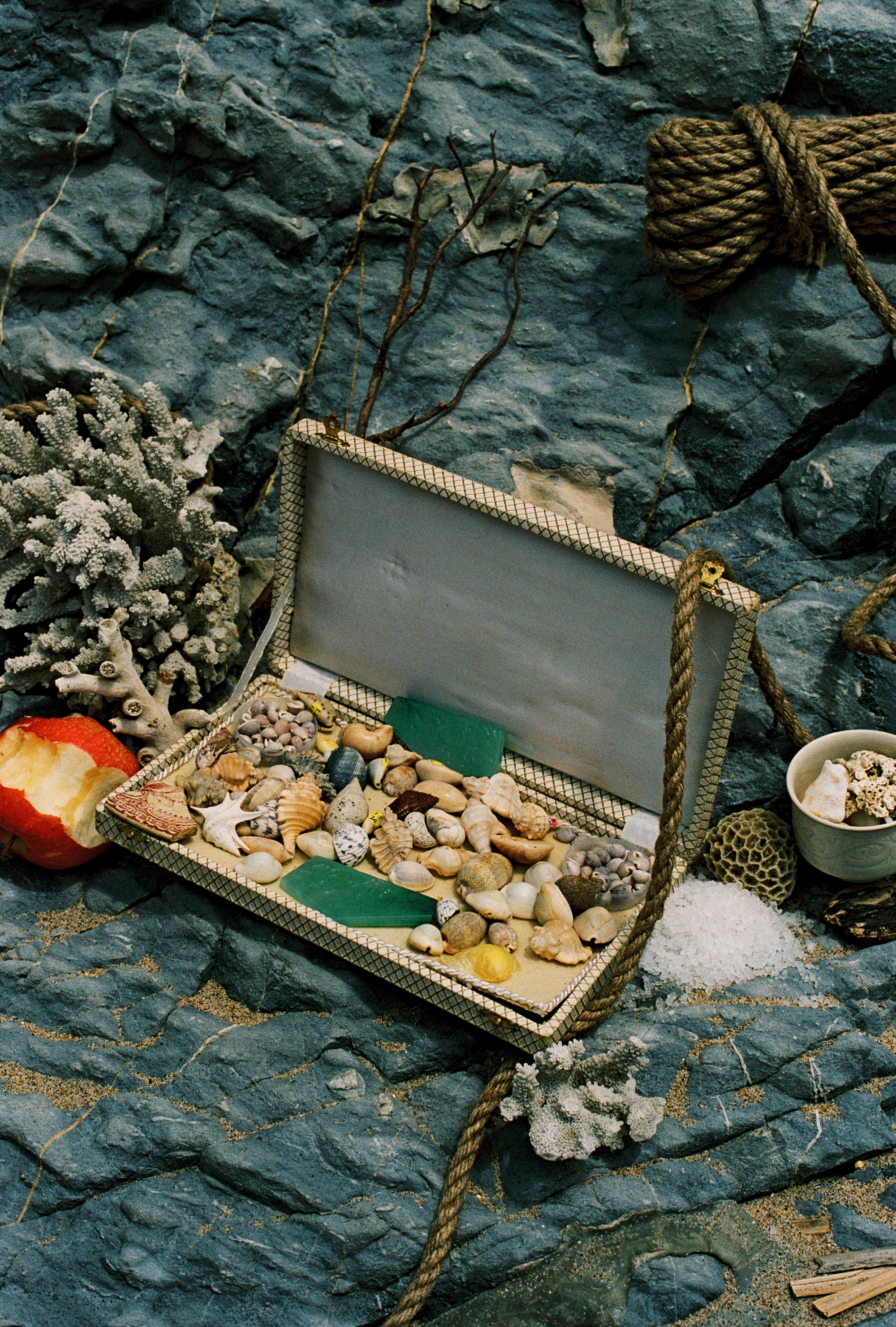An open case of shells, stones and jadeite fragments on slate
