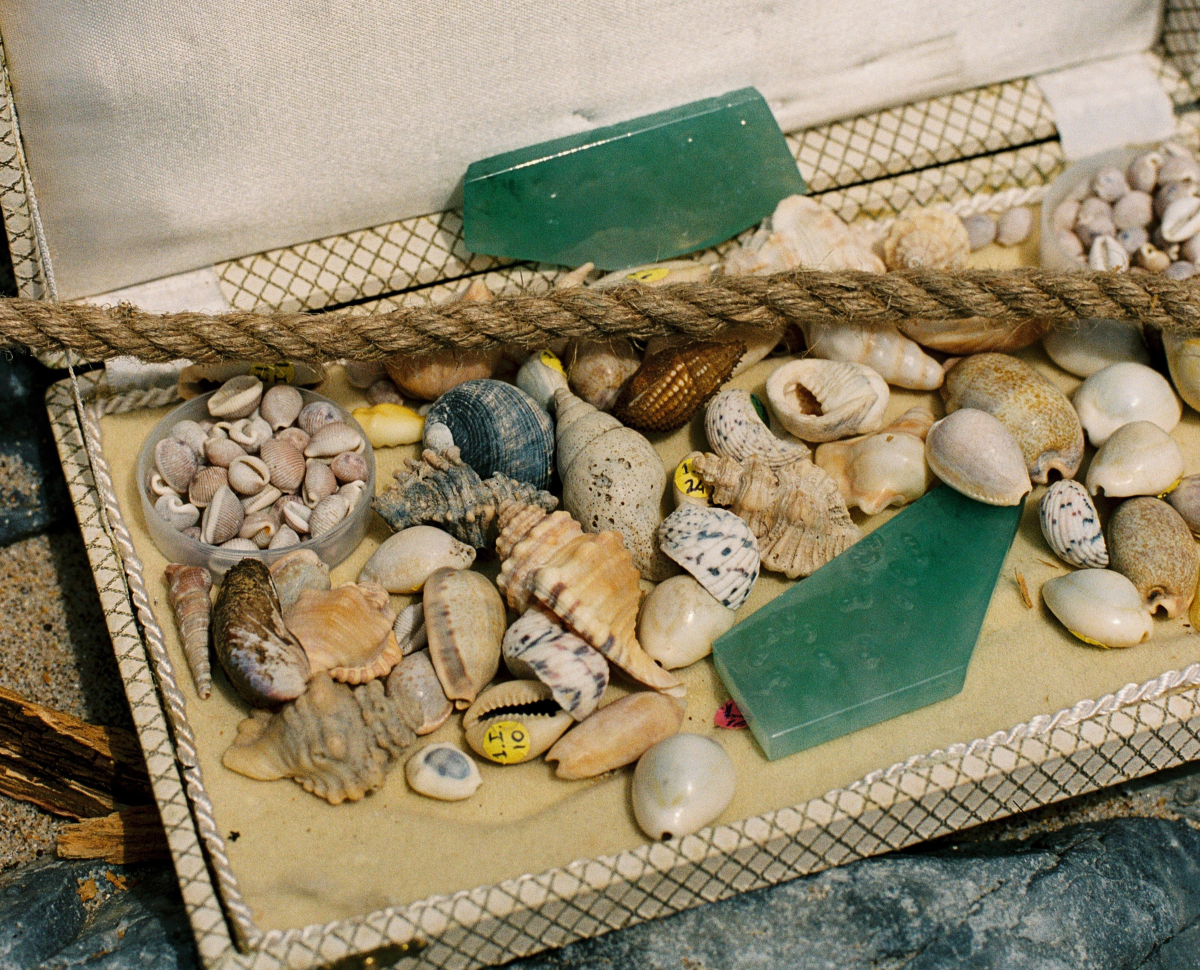 An open case of shells, stones and jadeite fragments on sand, a length of rope across it