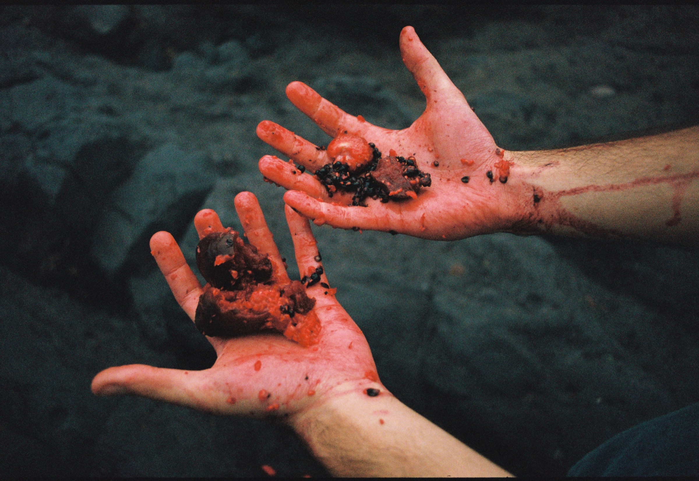 Two hands stained red, holding crushed berries